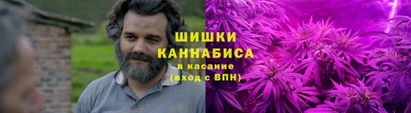 амф Костерёво