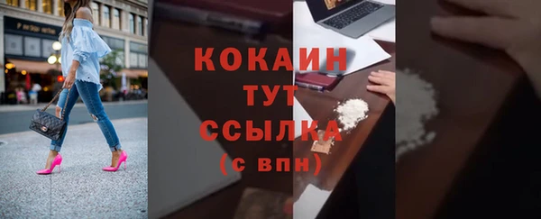 дмт Кодинск