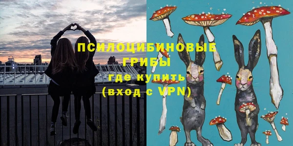 ешки Козельск