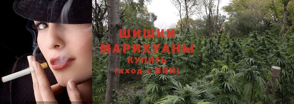 ешки Козельск