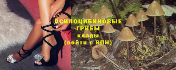 мяу мяу кристалл Коряжма