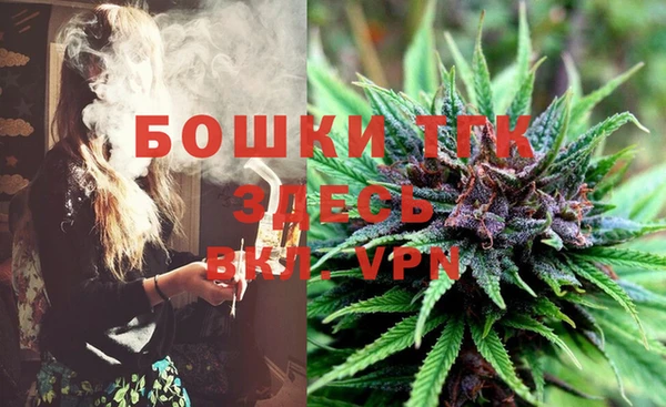дмт Кодинск