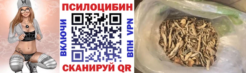 Купить где  Жирновск  Галлюциногенные грибы Psilocybe 