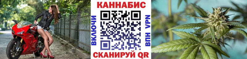Бошки марихуана сатива  Купить где  Жирновск 